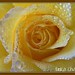Rosa Chacon Photo 16