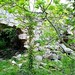 Susan Stratton Photo 38
