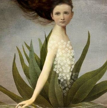 Lynette Gray Photo 6