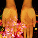 Joy Flowers Photo 21