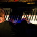 Brian Stevens Photo 37