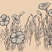 Alice Copeland Photo 15