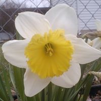 Renee Gardner Photo 28