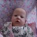 Judith Stark Photo 28