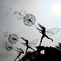 Diana Hooper Photo 18
