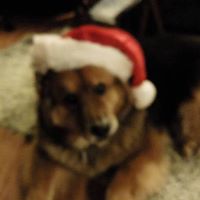 Debbie Merwin Photo 16