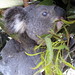 Barbara Downs Photo 18
