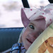 Liana Gordon Photo 14