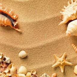 Sheree Ransom Photo 5