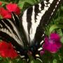 Christine Beatty Photo 21