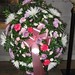 Mary Hirsch Photo 19