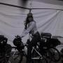 Nancy Zimmerman Photo 25
