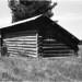John Forker Photo 8