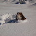 Kathy Myrick Photo 15