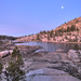 Cynthia Crabtree Photo 19