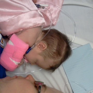 Rebekah Rogers Photo 12