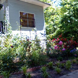 Edith Reese Photo 6
