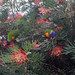 Robyn Gordon Photo 31