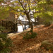 Tommy Stone Photo 9