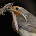 Robin Lucas Photo 39