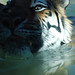 Kelly Horne Photo 9