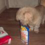 Karen Eskridge Photo 7