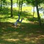 Steven Palmer Photo 50