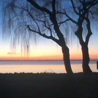 Todd Rogers Photo 24