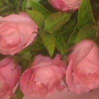 Lisa Clare Photo 27