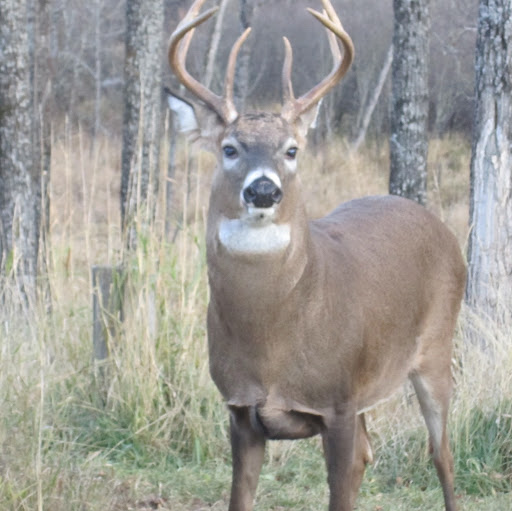 Julie Banks Photo 43