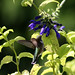 Joan Strickland Photo 19