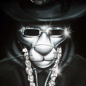 Kevin Woolsey Photo 12