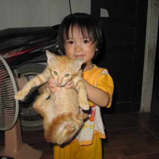 Hue Tran Photo 8