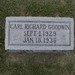 Carl Goodwin Photo 18