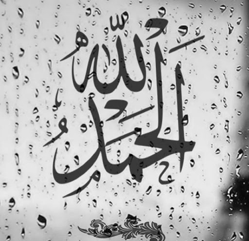 Mohamed Abdelaziz Photo 45