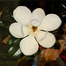 Kathryn Brown Photo 33