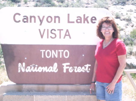 Debbie Anderson Photo 23