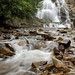Donna Hawk Photo 11