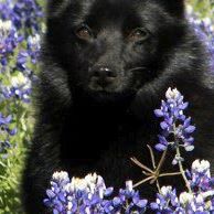 Tammy Sanders Photo 5
