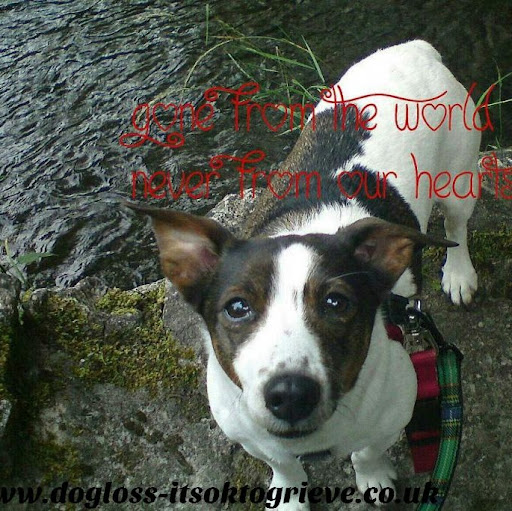 Debbie Evans Photo 32