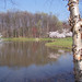 Carole Spring Photo 10