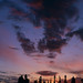Andrew Rowell Photo 7