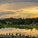 Xuan Ho Photo 29