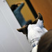 Kevin Sampson Photo 19
