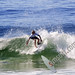 Thomas Arnette Photo 14