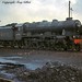 Tony Whittington Photo 13