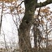 Thomas Eagan Photo 26