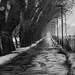 Russell Davis Photo 45