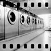 Stephen Schafer Photo 30