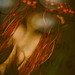 Donna Ball Photo 15